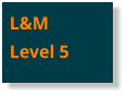 L&MLevel 5