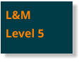 L&MLevel 5