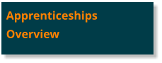 Apprenticeships Overview