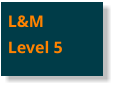 L&MLevel 5