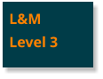 L&MLevel 3